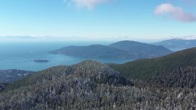 Winter Forest with Mountains and Ocean Background in British Columbia, Canada. 4K.