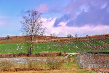 przedwiośnie na Warmii w Brąswałdzie © Janusz Lipiński