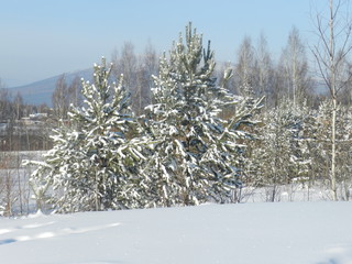 My Ural, my house