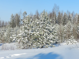 My Ural, my house