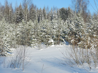 My Ural, my house