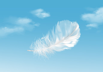 Vector illustration of floating white feather on blue sky background