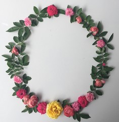 bouquet of roses isolated on white background