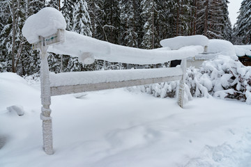 snow hanging on a drying rack in winter