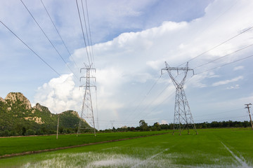  High voltage transmission towers - Located in the middle of green rice fields  