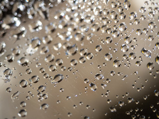 Water Droplets on a Spider Web Against Tan Background