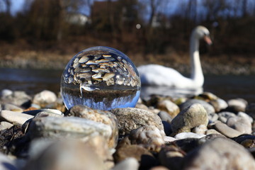glowing lensball in nature