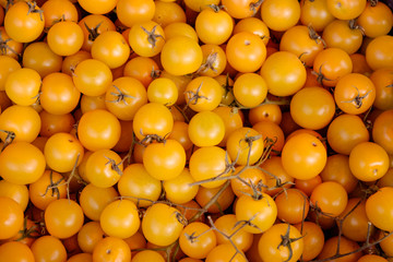 Yellow cherry tomato background