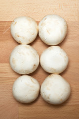 Mushrooms close up