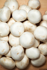 Mushrooms close up