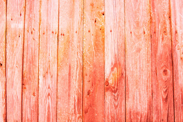 Texture of old wooden boards covered in bright paint. Color of the year 2019 Living Coral.
