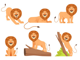 Lion cartoon. Wild jungle animal pride happy safari vector characters isolated. Illustration of lion mammal, zoo jungle animals