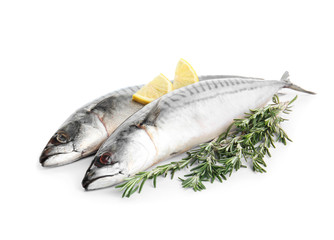 Tasty raw mackerel fish with rosemary and lemon on white background