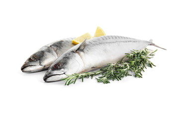 Tasty raw mackerel fish with rosemary and lemon on white background