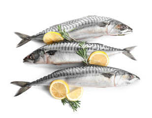 Tasty raw mackerel fish with rosemary and lemon on white background