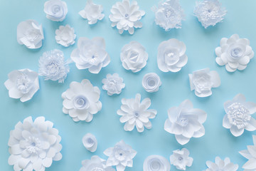 Fototapeta na wymiar White paper flowers on blue background. Floral