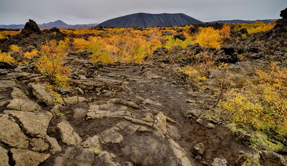 Old Volcanic area of Dimmuborgir in Iceland