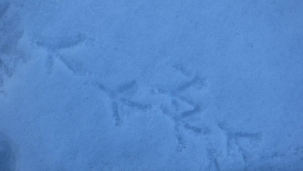 Bird tracks in the winter in the snow.background