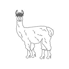 Llama in boots outline illustration