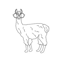 Llama in round glasses outline illustration