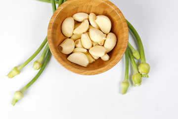 Garlic Flower bud green stem on white background