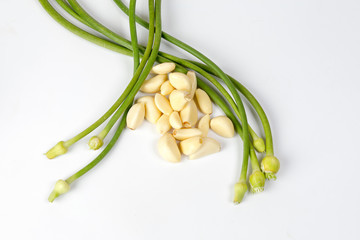 Garlic Flower bud green stem on white background