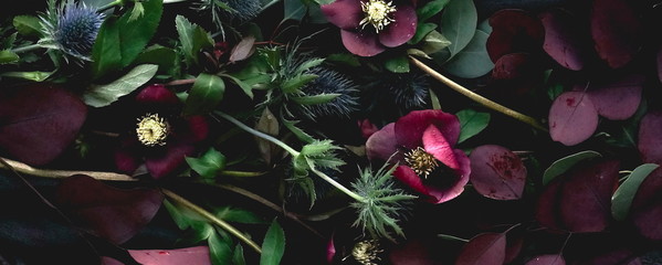 Flowers composition background banner. Bouquet of purple flowers Helleborus on a dark background. Low key.top view.