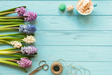 Collection of hyacinth flowers in pink, blue, white, violet colors and accessories, cup of cappuccino, cake makaron on the blue wooden background with copy space.