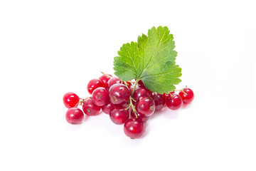 Red currant berry isolated on white. A bunch of red currant..
