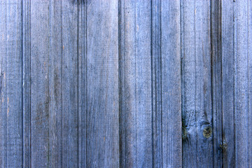 Texture from wooden vertical boards like fence