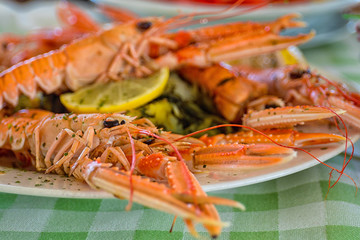 Served boiled langoustines, scampi with lemon and melted butter with herbs close-up on a plate on a table. 