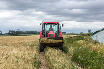 Fototapeta premium Tractor with front end universal loader scored feed for cows. Front view of an agricultural machine. Necessary equipment for a dairy farm.