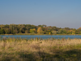 Pond in autumn