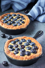 Delicious Blueberry tartlets with vanilla custard cream on light rustic background