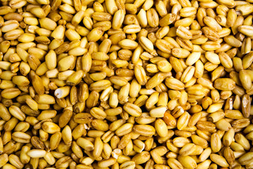 Wheat cereal grains background pattern