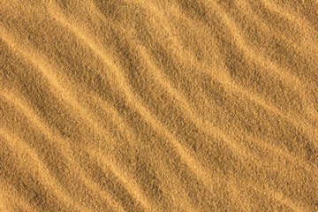 Fototapeta na wymiar Natural pattern of sand. Close up