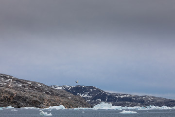 Die Wildnis Grönlands