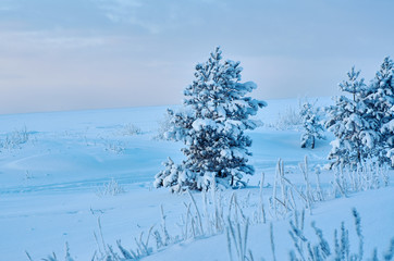 Beautiful Christmas landscape