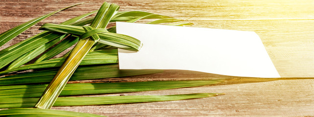 Palm Sunday concept