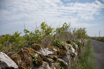 Steinmauer in Irland