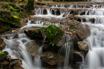 Beautiful small waterfall in rain forest at Maekampong,Chiang Mai,Thailand.