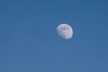 Mond