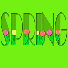 Spring background with grass and tulips.