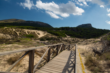 Obraz premium Mallorca landscape at the day