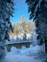 Historical stone bridge in winter forest under snow