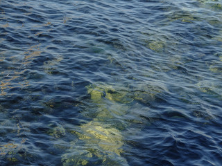 Dark blue transparent sea water with waves. Pure Black Sea near the coast of Sevastopol in Crimea.