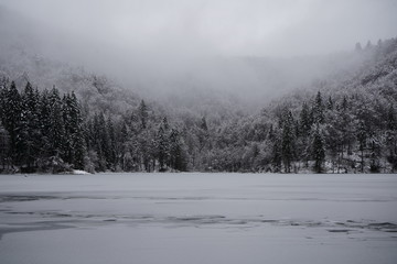 winter landscape with trees and snow