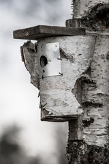 birdhouse on tree