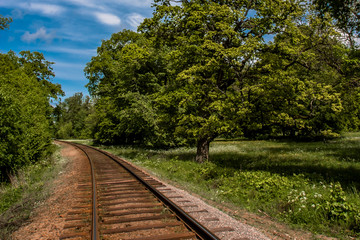 railway in the forest