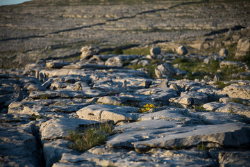 The Burren - Irland